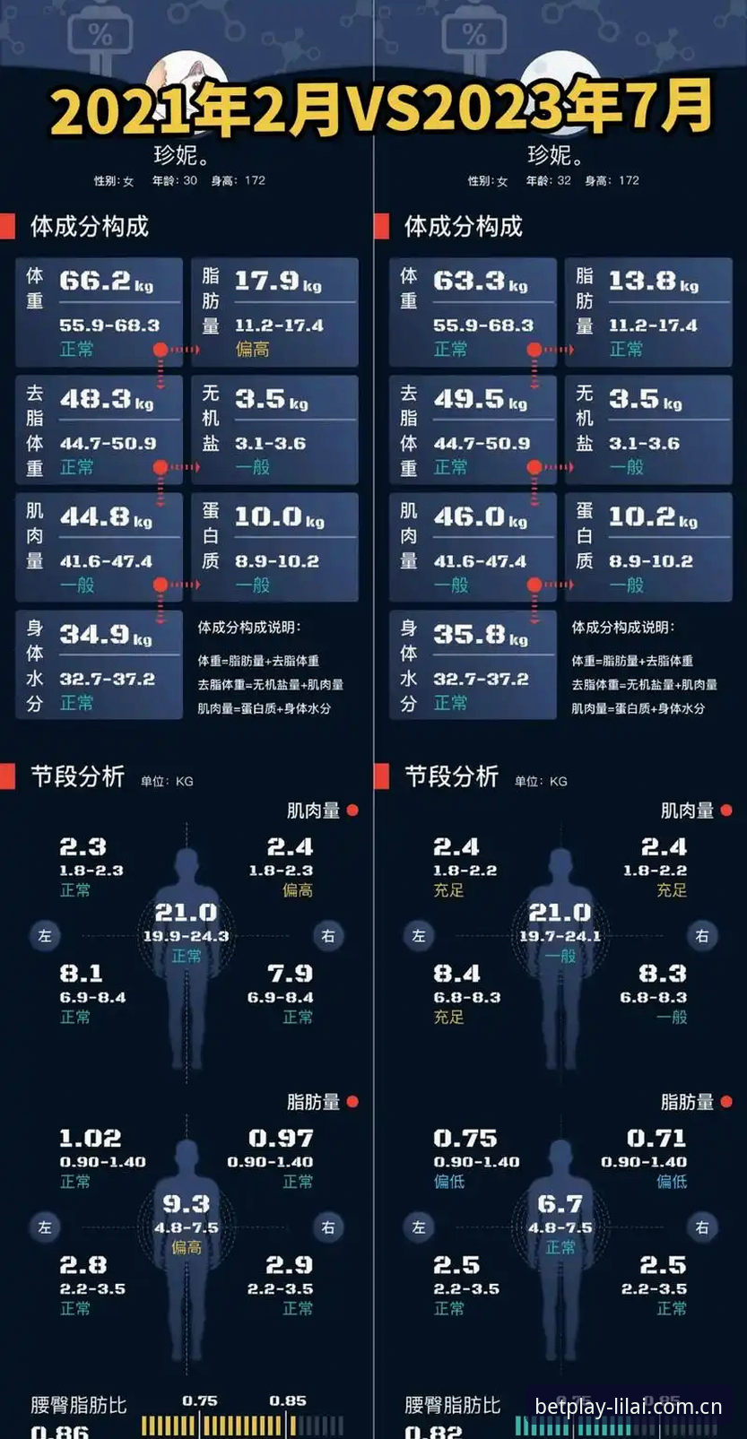 揭秘利来体育体验：专业分析师眼中的数据真相
