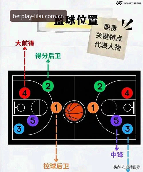 利来体育综合最新入口攻略：新手如何一步到位？